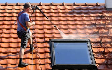 roof cleaning Totnes, Devon